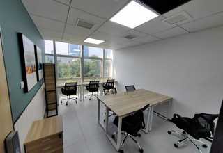 滨江区住宅灭老鼠推荐