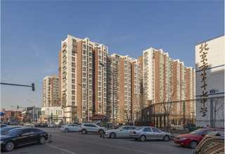 失能人员认知症照护方案多少钱