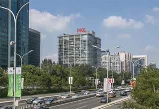 常见办公室租花批量定制